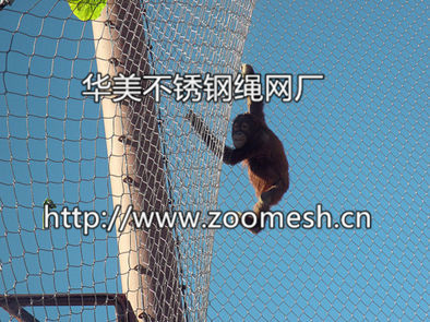 猩猩围栏网、大猩猩围网、黑猩猩防护网