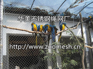 金刚鹦鹉笼舍网、金刚鹦鹉围网、金刚鹦鹉防护网