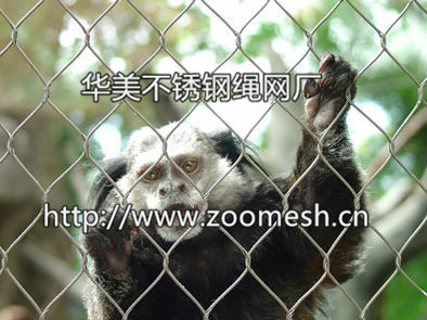 小型猫科动物围栏网、动物笼舍网、动物园围网