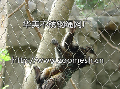 不锈钢绳网、动物园笼舍网、动物园围网