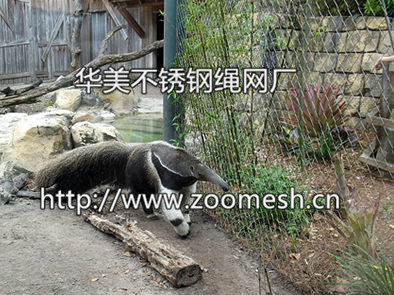 动物围栏网、不锈钢绳网、动物园笼舍网