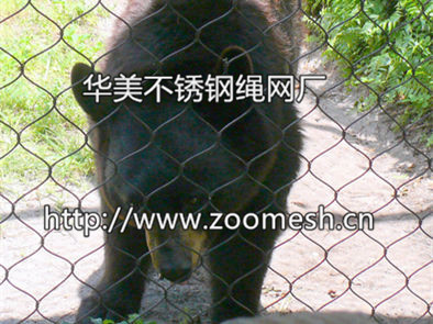 黑熊围栏网、不锈钢熊园防护网、不锈钢绳网，专业用于熊笼舍安全隔离网、