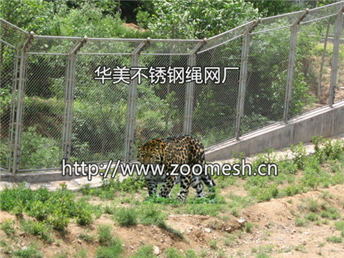 动物园笼舍周边网-动物园笼舍边围网-动物周边防护网