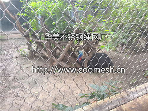 动物防护专用网-动物园钢丝绳网-动物园柔性网