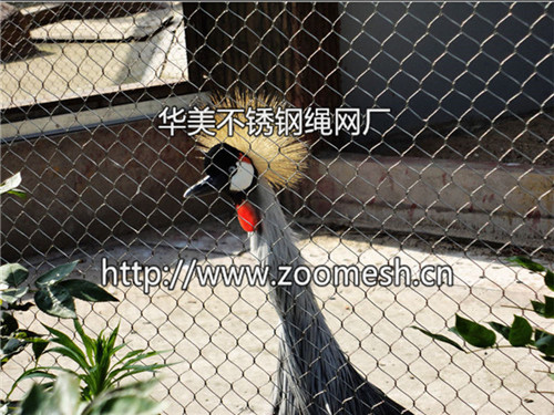 动物园笼舍网-动物园围网-动物园防护网工厂