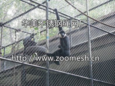 动物笼舍、不锈钢动物笼舍、动物笼舍围网