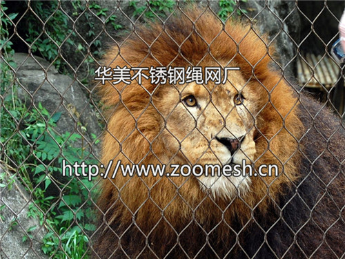 不锈钢狮子防护网、狮子笼舍围栏网、亚洲狮围网