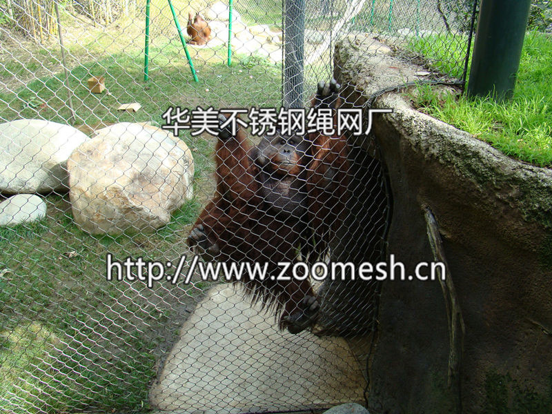 动物园笼舍网-动物园安全隔离防护网-动物园专用围网