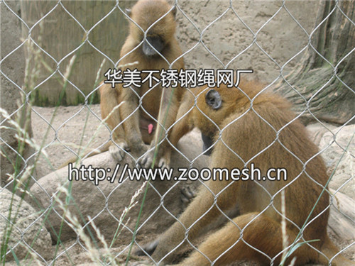 动物园防护金属网片-动物园金属隔离网