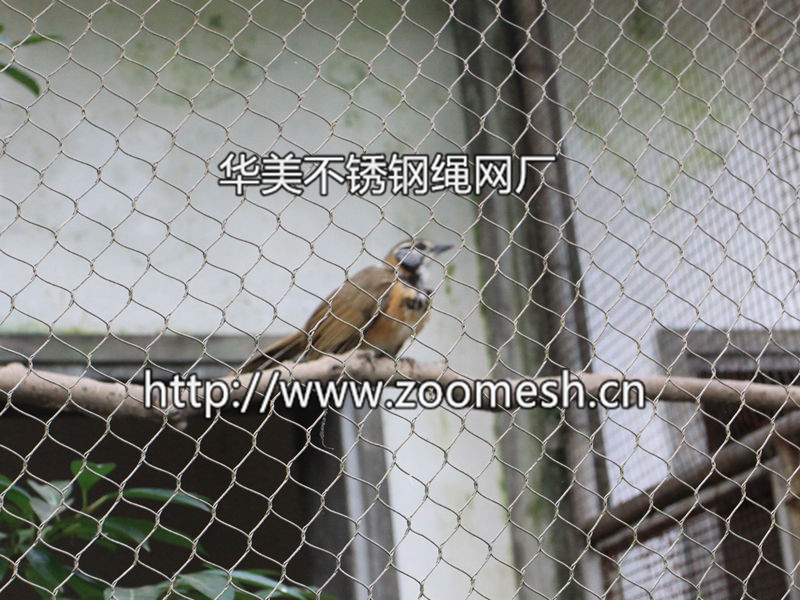 厂家直销2公分网孔的小型鸟类鸟网、鸟笼舍围网