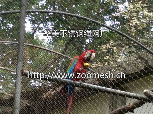 鹦鹉安全防护网-不锈钢笼舍网-钢丝绳编织围网