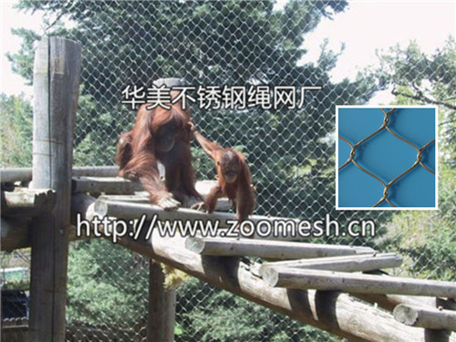 动物园猩猩围栏网、场馆围网、猩猩笼舍隔离网