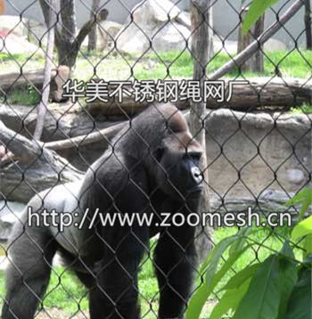 黑猩猩围网、猩猩金属围网