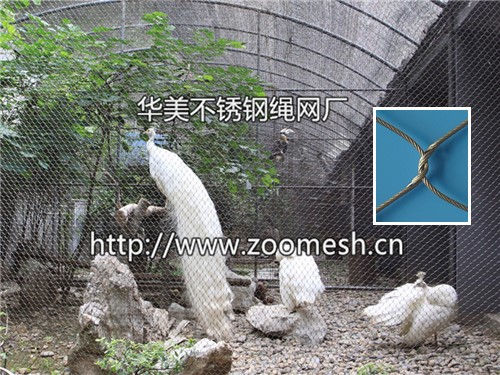 动物园防护网、动物围栏专用网