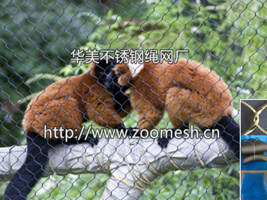 动物隔离围栏网/动物笼舍防护网/动物园围网