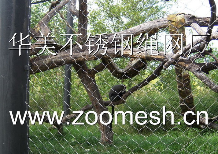 象鼻猴笼舍围网，象鼻猴笼舍防护网，不锈钢象鼻猴围栏网