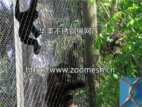 不锈钢围网、动物围栏网、动物园围网笼舍网、动物笼舍网、动物园围网、动物园围栏网、不锈钢动物围网