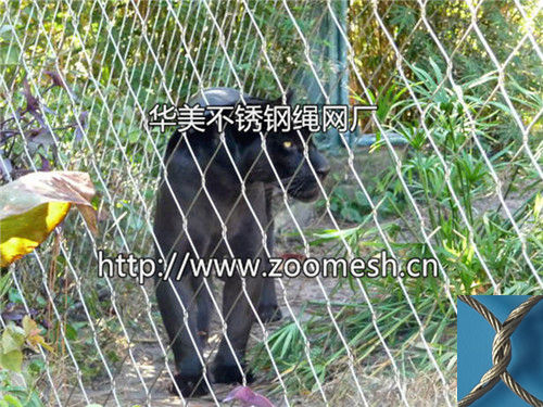 黑美洲豹围栏网虎园防护网不锈钢豹子笼舍网