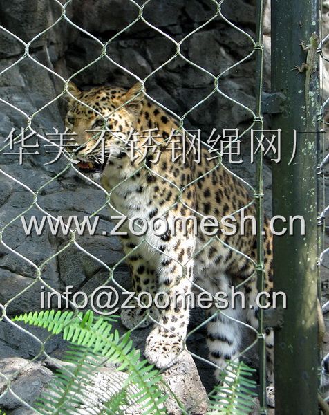 豹子防护网，美洲豹围网，黑豹笼舍围栏网，金钱豹安全防护网