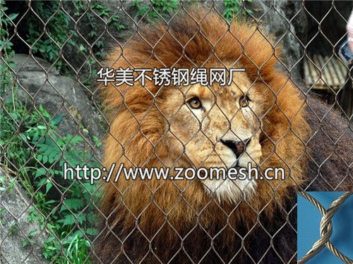 非洲狮围网、狮子围栏网、亚洲狮防护网、狮子笼舍网、非洲狮隔离网、亚洲狮围网