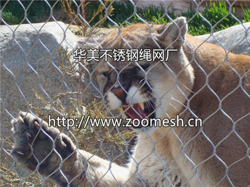 非洲狮围网、狮子围栏网、亚洲狮防护网、狮子笼舍网、非洲狮隔离网、亚洲狮围网
