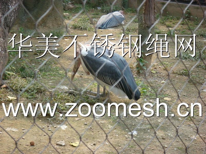 不锈钢动物园笼舍围网，鸟笼舍防护网