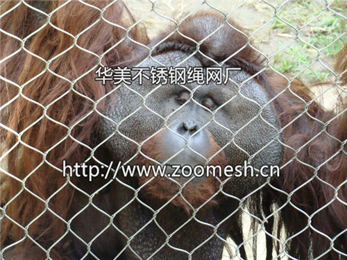 长臂猿围网、大猩猩围栏网、黑猩猩笼舍网、狒狒防护网