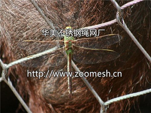 编织网类别：不锈钢绳网/钢丝绳编织网
