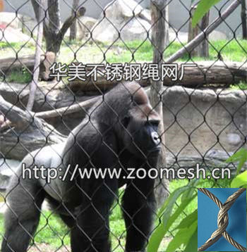 大猩猩围网、黑猩猩笼舍网、动物园猩猩防护网、不锈钢绳网