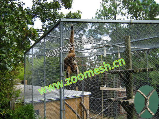 动物园围栏网、不锈钢丝绳网、不锈钢动物园防护网、304不锈钢绳网、钢丝绳网、动物园专用柔性防护网