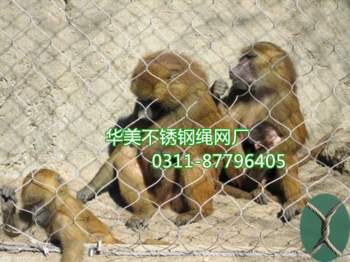 不锈钢猴子围网用于猴笼舍防护-华美钢丝绳网