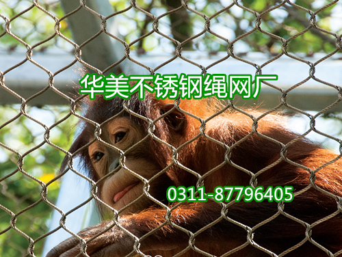 不锈钢绳网用于猴笼舍网、猴围网、猴子防护网。