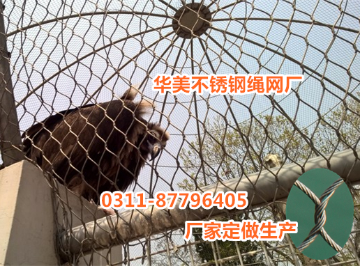 动物园鸟笼防护网，鸟笼舍网