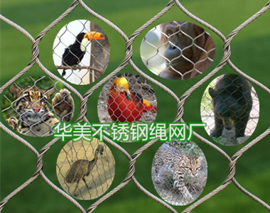 动物围网，动物园围网常用不锈钢绳网建设