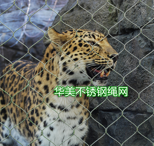 夏季动物园建设，专用不锈钢绳网动物园围网