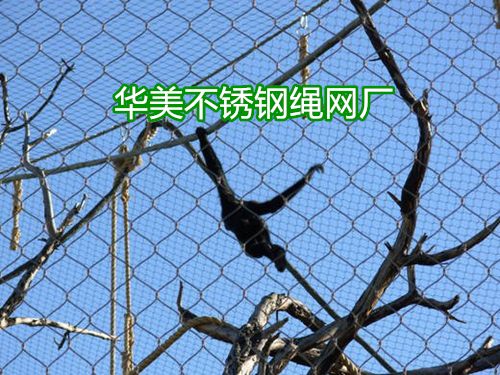 猩猩防护网，猩猩笼舍防护网，猩猩笼舍网，猩猩围网，猩猩围栏网