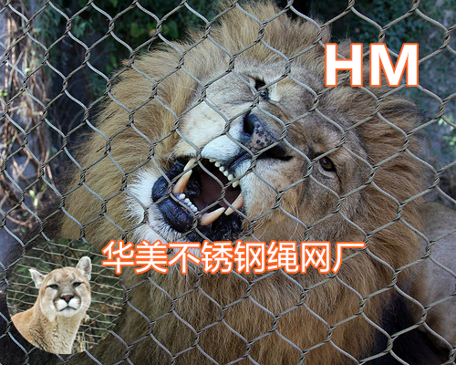 狮子围网-狮子围栏网-狮子笼舍防护网