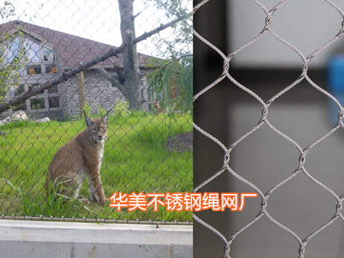 不锈钢绳网用于动物笼舍网，动物园笼舍网，动物防护网