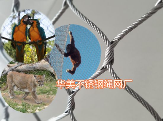 不锈钢绳网，动物笼舍网，动物防护网，不锈钢动物围网