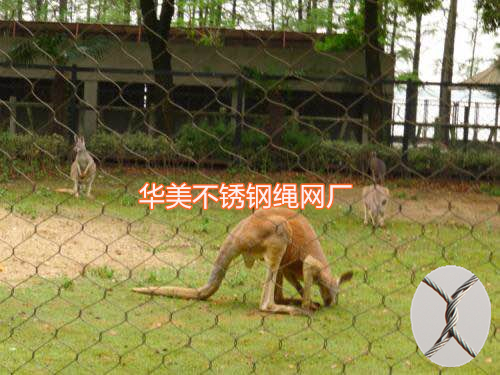 动物园围栏-动物园围网-动物园围栏网.jpg