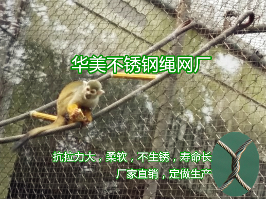 猴子笼舍网，猴子围网，猴子防护网