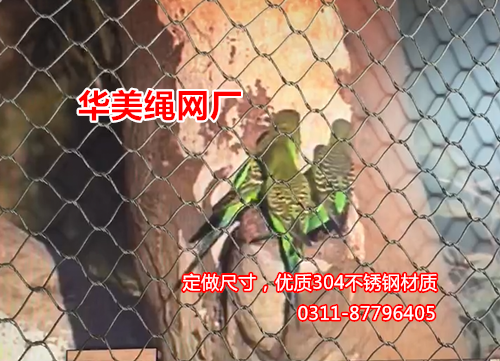 虎皮鹦鹉防护网-钢丝绳编织网