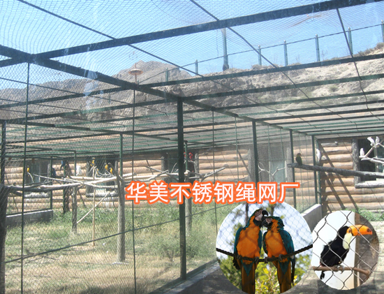 虎皮鹦鹉防护网-钢丝绳编织网
