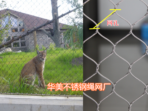 不锈钢动物园网，动物园网，动物笼网，动物笼舍网