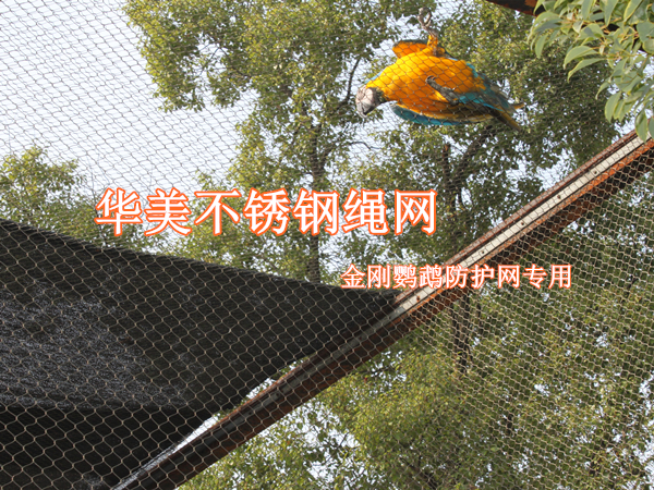 金刚鹦鹉防护网，金刚鹦鹉笼围栏网——不锈钢金刚鹦鹉网