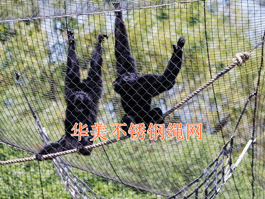 不锈钢猴笼网，猴围网，猴笼舍网，不锈钢猴子防护网