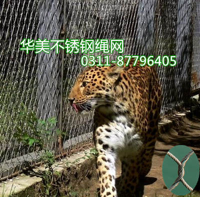 豹子笼子防护网，不锈钢豹子笼子网，豹子笼舍网、豹子围网