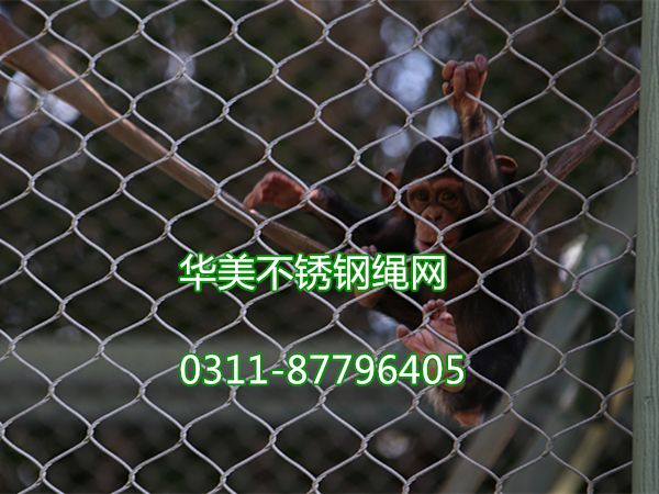 不锈钢绳防护网/钢丝绳防护网-不锈钢动物笼舍网