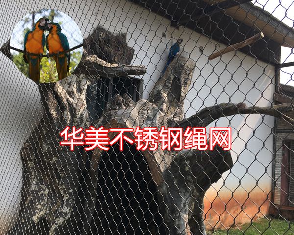 鹦鹉笼舍网，鹦鹉笼防护网，金刚鹦鹉笼围网.jpg