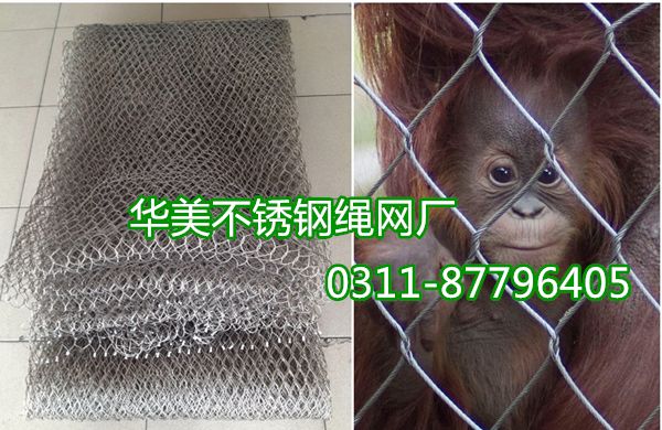 动物笼舍网，不锈钢绳网，不锈钢动物笼网，动物笼子防护网